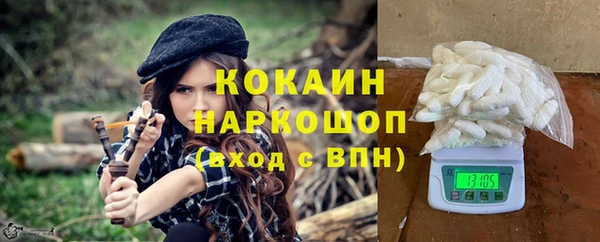 соль ск Алексин