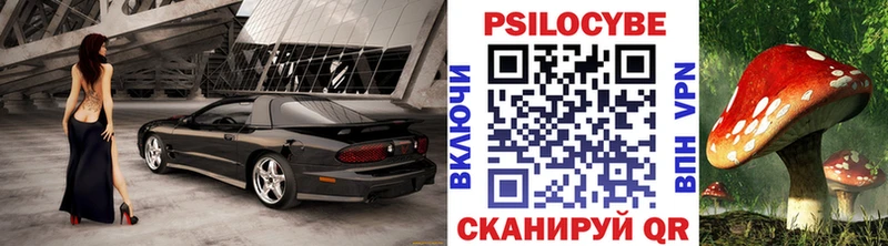 Псилоцибиновые грибы прущие грибы  Калач-на-Дону 