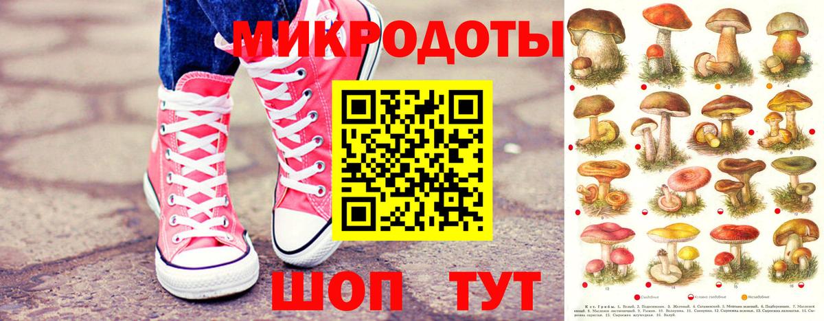 Калач-на-Дону  Галлюциногенные грибы мицелий  Галлюциногенные грибы GOLDEN TEACHER  Вход с VPN 
